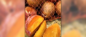 Health benefits of dietary fiber