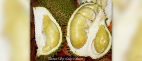 Health benefits of durian