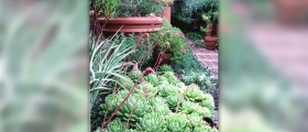 Health benefits of gardening