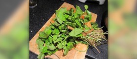 Health benefits of gotu kola
