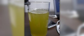 Health benefits of gyokuro tea