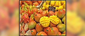 Health benefits of mangoes