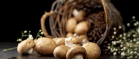 Health benefits of mushrooms