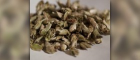 Health benefits of pu erh tea