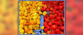 Health benefits of red peppers