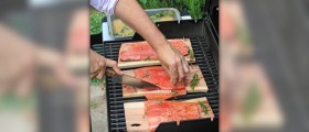 Health benefits of salmon