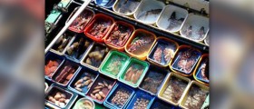 Health benefits of seafood