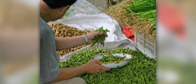 Health benefits of soya beans