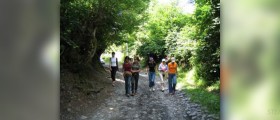 Health benefits of walking daily