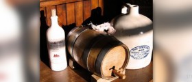 Health benefits of wine vinegar