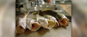 Healthy fish