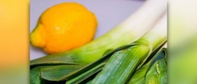 Healthy leek recipes