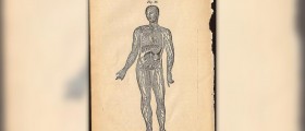 Healthy lymphatic system