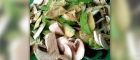 Healthy mushroom recipes