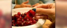 Healthy nighttime snacks