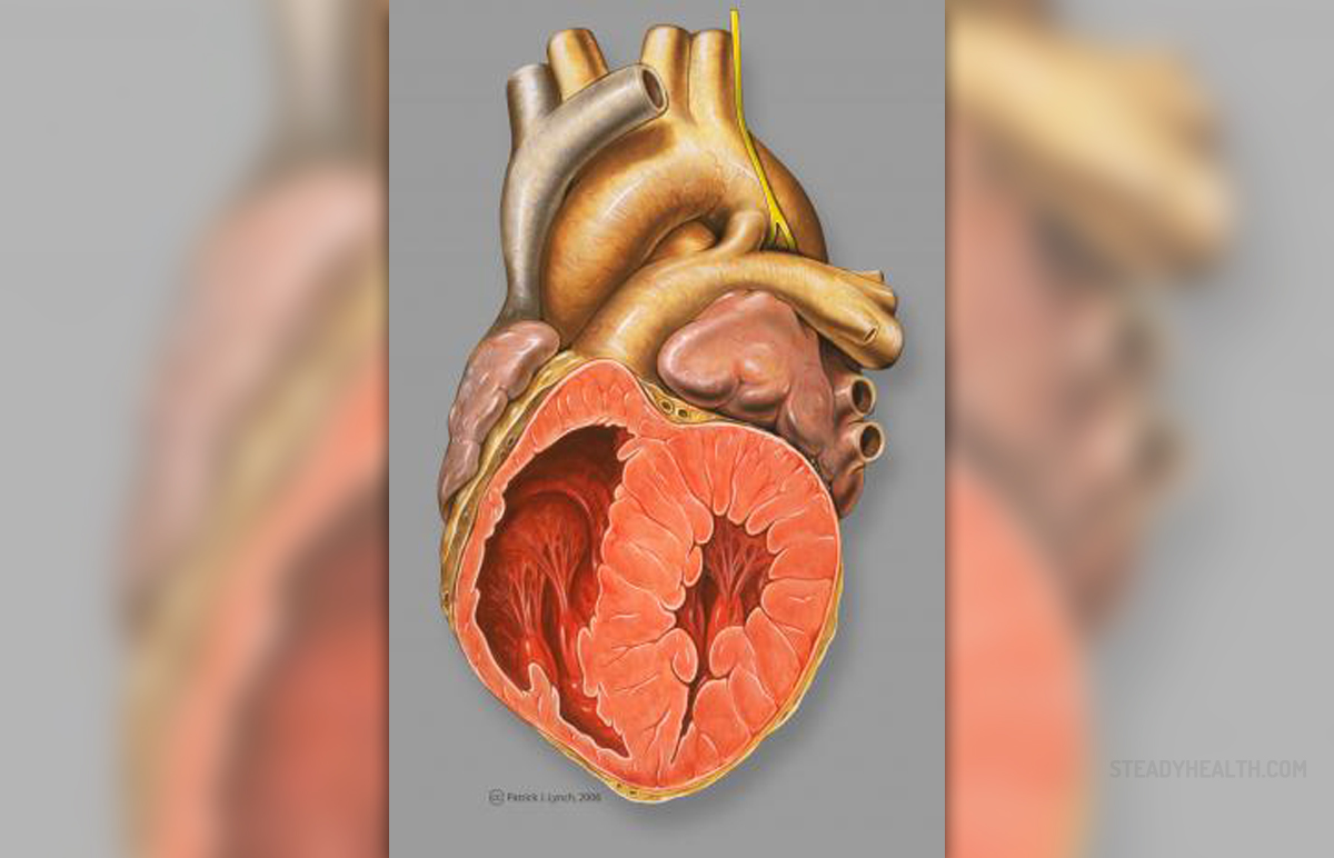 What Causes Racing Heart During Pregnancy