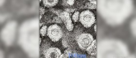 Hepatitis-B: An unignorable plague