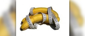 Herbal supplements for weight loss