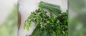 Herbs for hair