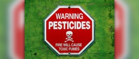 Hidden pesticides: natural and organic is no guarantee