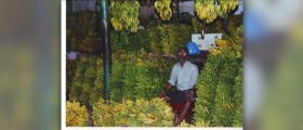 High potassium symptoms