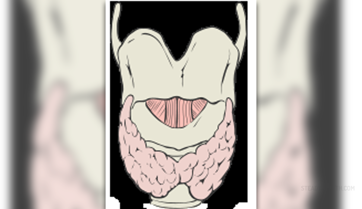 thyroid-level-chart-amulette