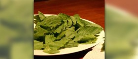 Holy basil side effects