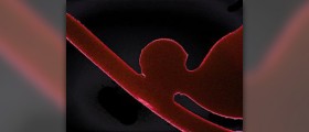 Home treatment for deep vein thrombosis