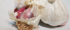 Homeopathic remedy for pinworms