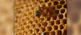 Honey for acne