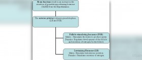 Hormones replacement and healthy aging