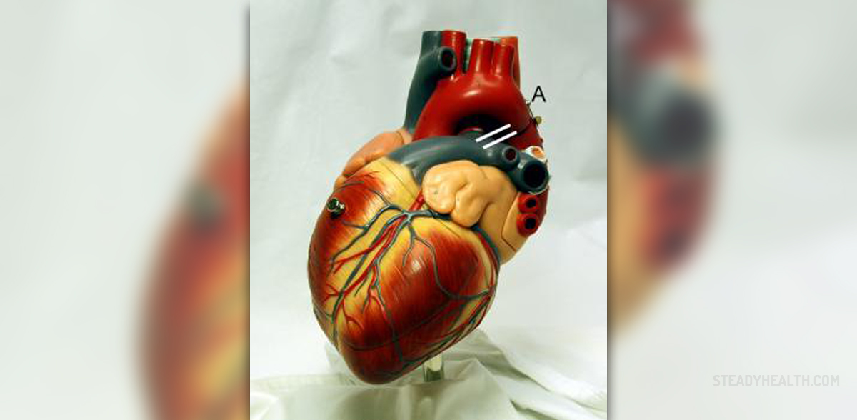 how-does-heart-disease-affect-the-body-cardiovascular-disorders-and