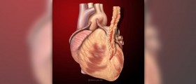 How does the heart pump blood