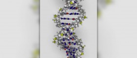 How is mitochondrial DNA used in forensics