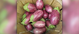 How many calories are in eggplant