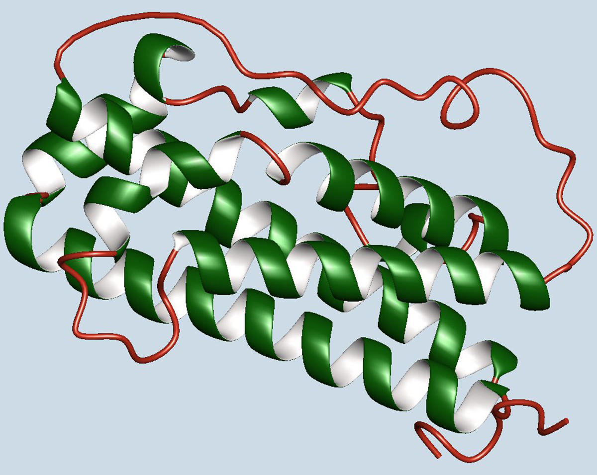 How safe is the synthetic human growth hormone (HGH)? General center