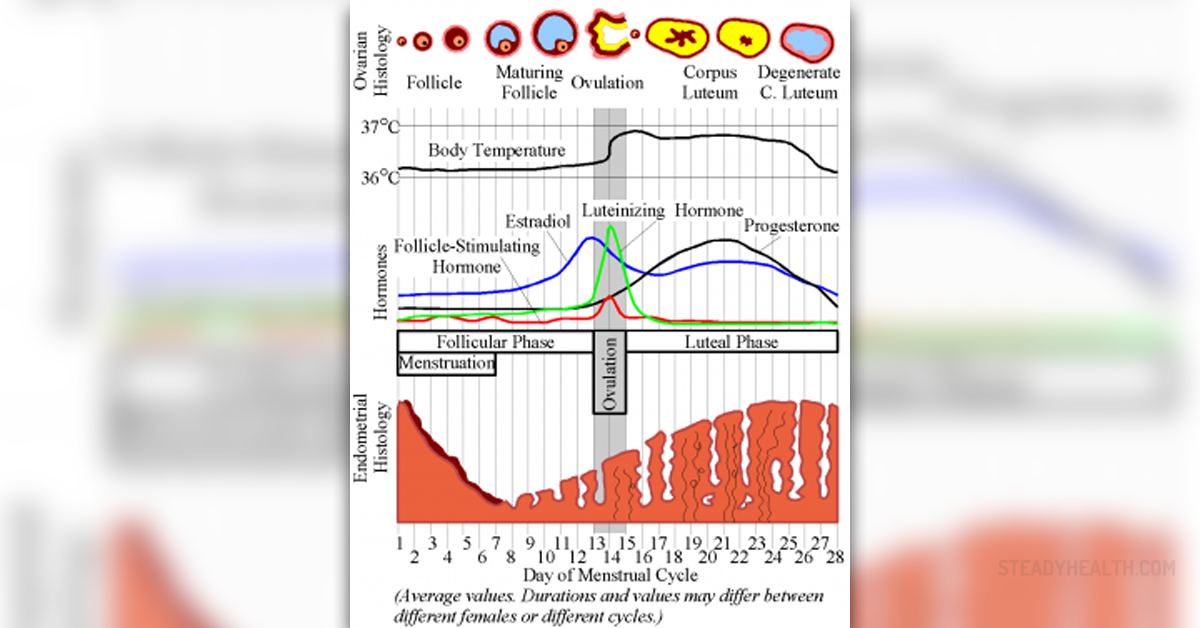 How to count your menstrual cycle General center