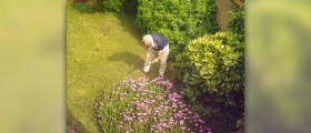 How to exercise while gardening