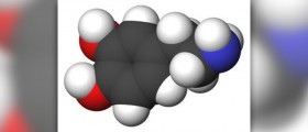 How to increase dopamine