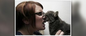 How to treat an animal bite