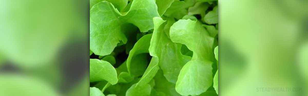 nutritional value of iceberg lettuce