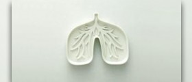 Infection of pleurisy