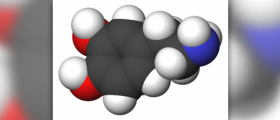 Information about dopamine neurotransmitter