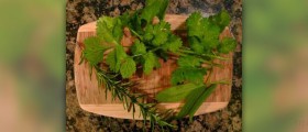 Information about herbs in ayurveda