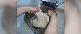 Information on gluten protein