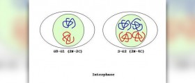 Interpersonal therapy for depression