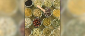 Introduction to herbalism