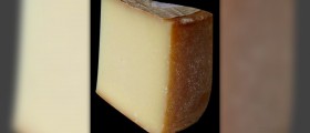 Is cheese good for you