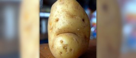 Is potato good for you