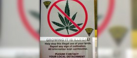 Is weed bad for you